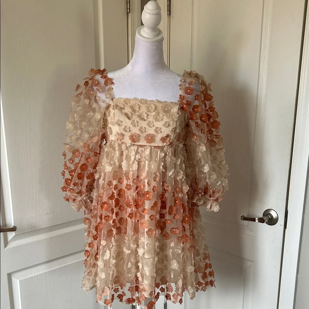 Vestiqúe Fairycore Romantic Sheer 3D Floral Babydoll Dress Puff Sleeves.​​